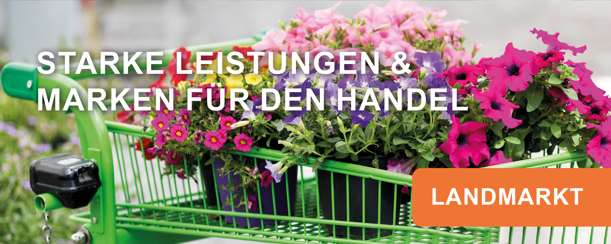 Titelbild Landmarkt Stand 02.06.25